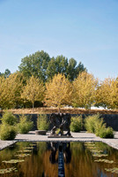 Art Museum