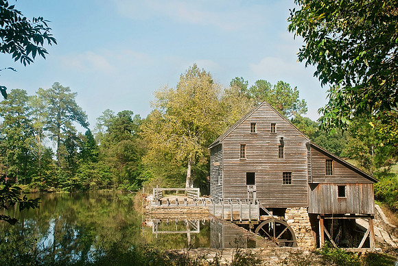 Yates Mill Pond
